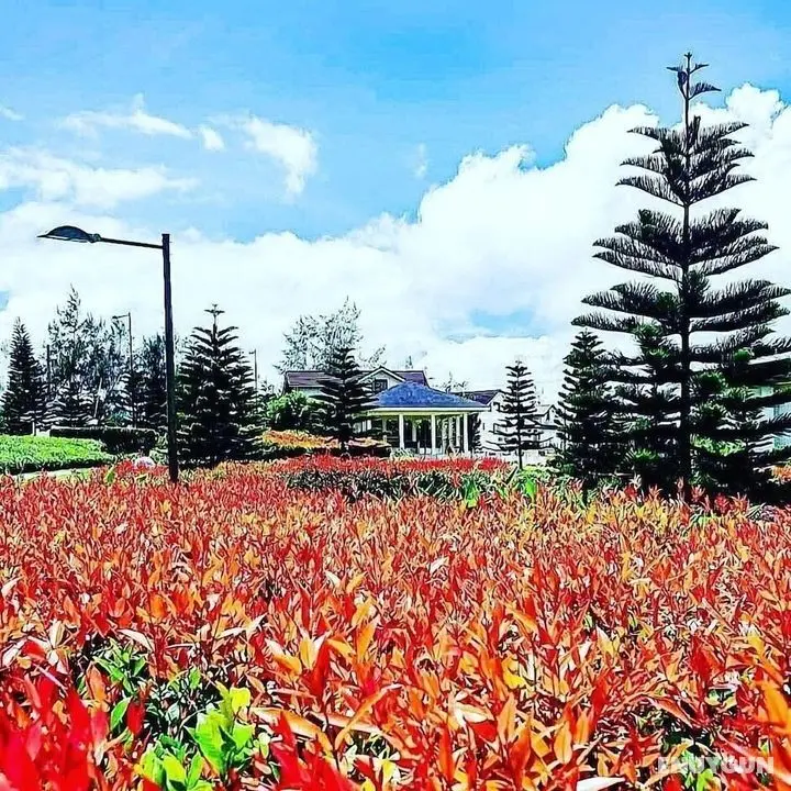 HomeStay at Wind Residences - Öne Çıkan Resim