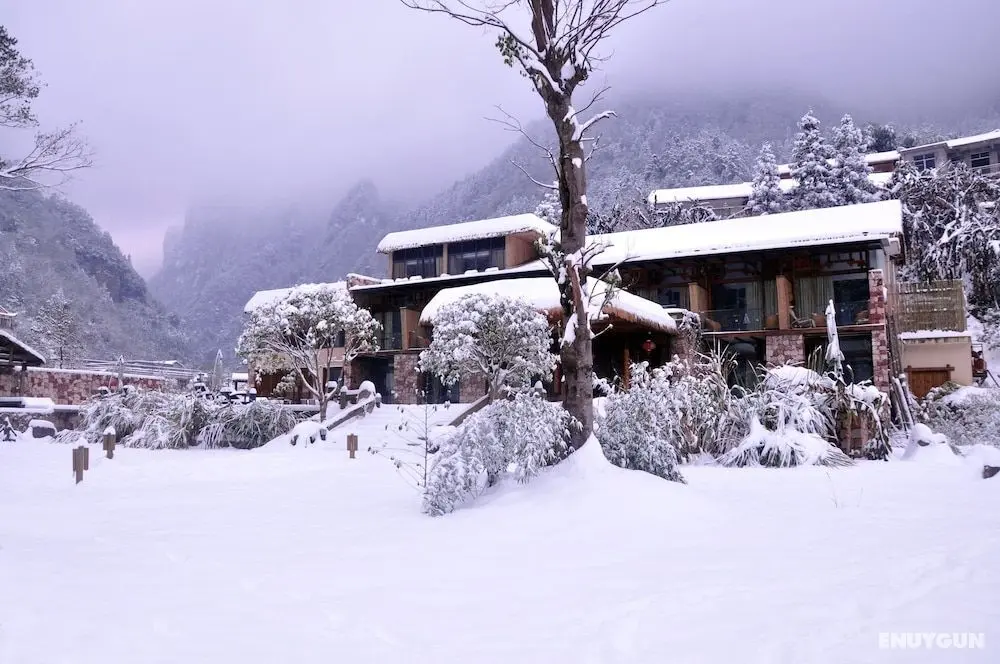 Homeward Mountain Hotel - Öne Çıkan Resim