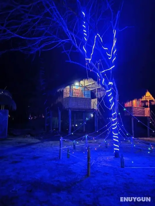 Homocation Beach Eco Camp - Öne Çıkan Resim