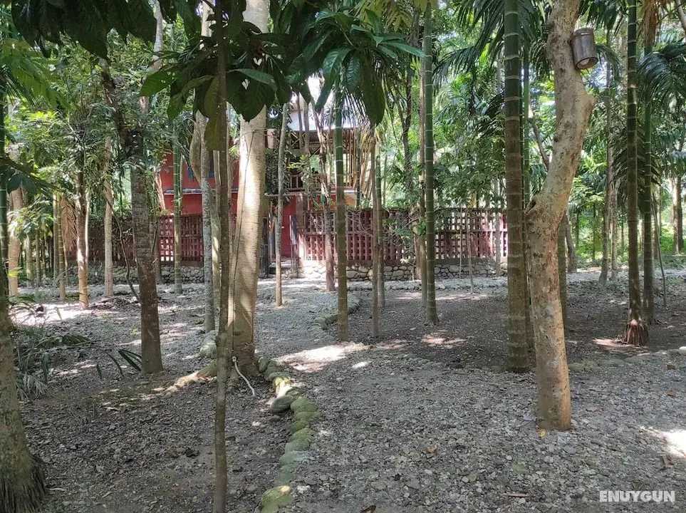 Homocation Sikhiri Cottages - Öne Çıkan Resim