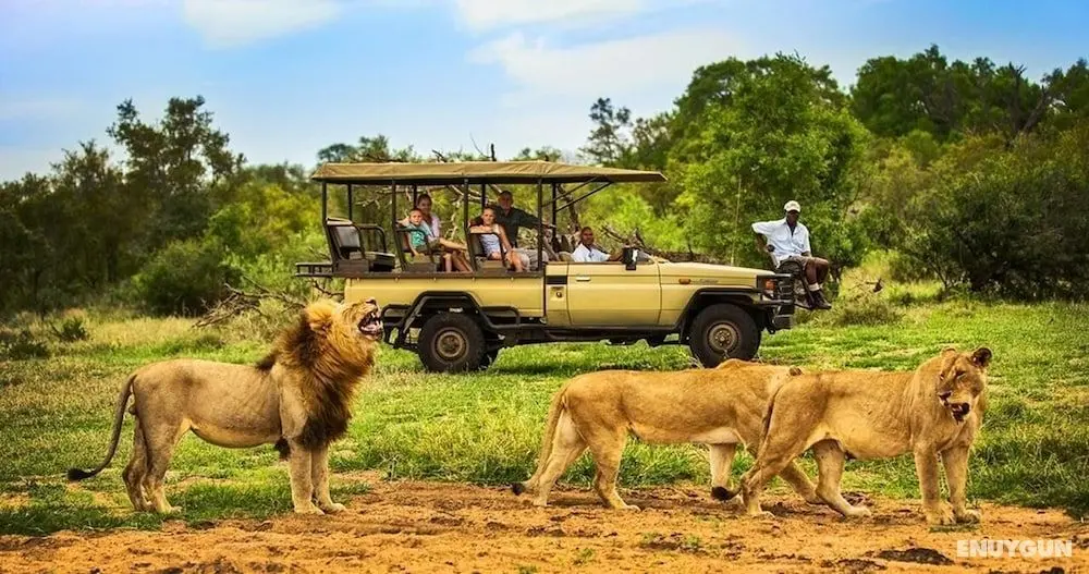Honeyguide Tented Safari Camps - Montobeni - Aktiviteler