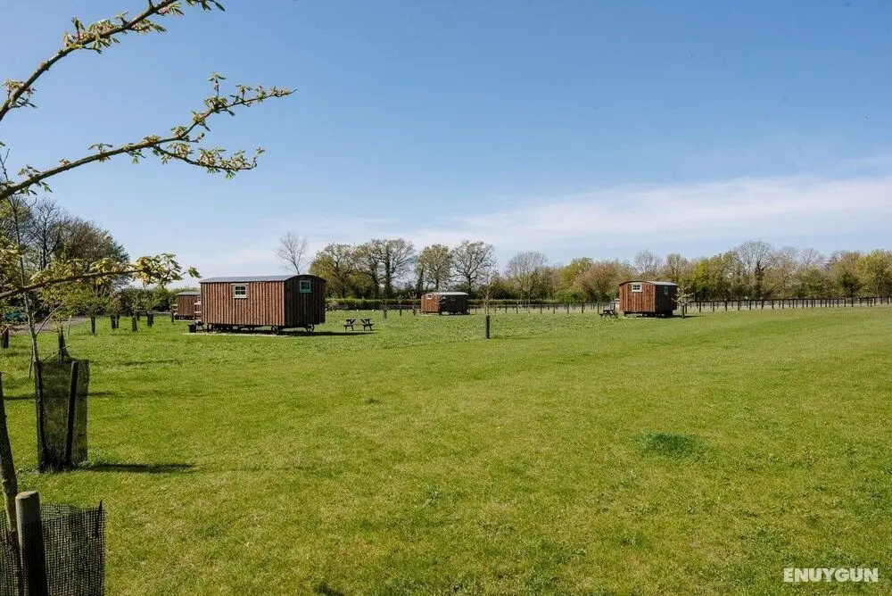 Honeysuckle Farm Hut 1 - Suffolk Farm Holidays - İç Mekan