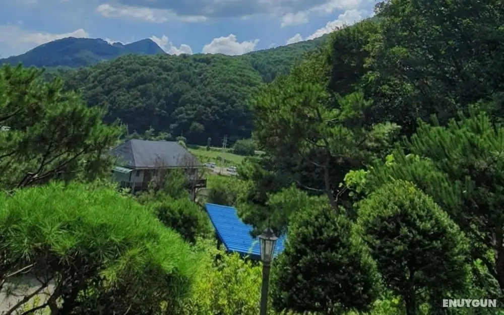 Hongcheon Bohemian Pension - Oda