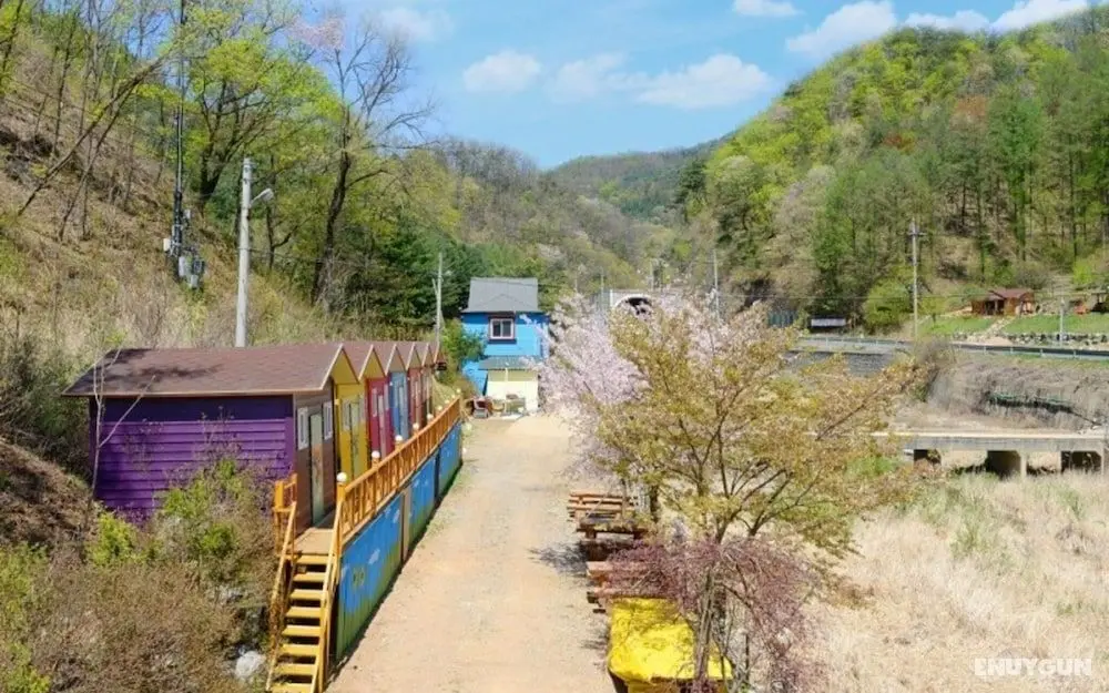 Hongcheon Eorinwangja Pension - Misafir Tesisleri ve Hizmetleri