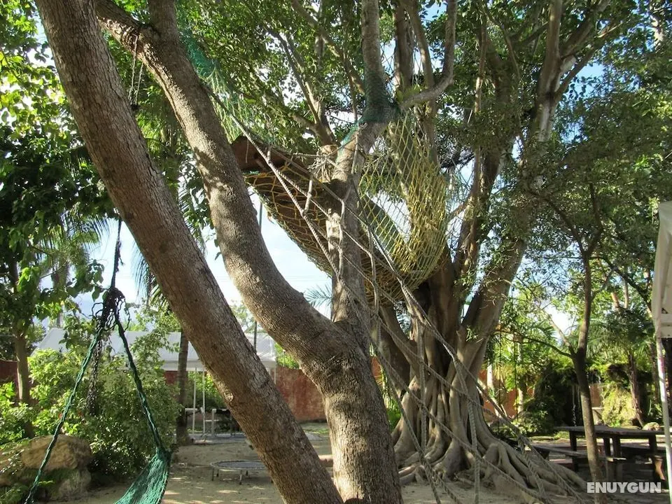 Hoosville Hostel - Dış Mekanlar