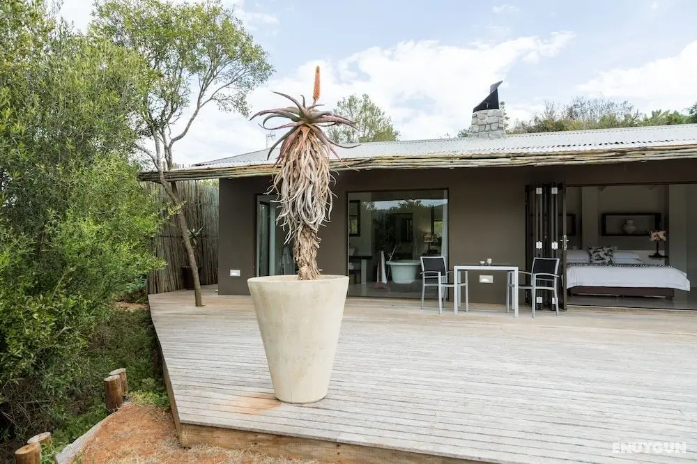 Hopewell Private Game Reserve - Oda Düzeni