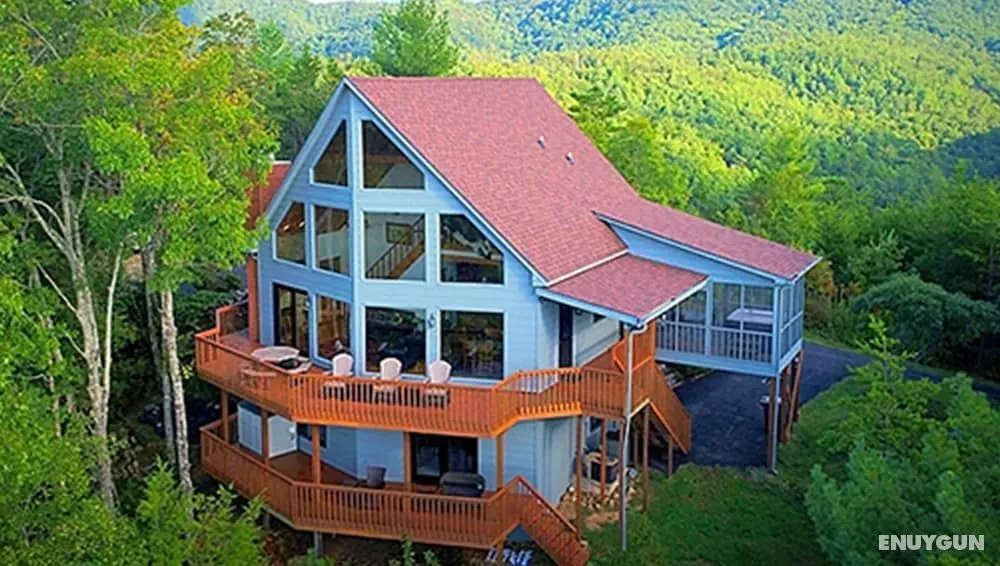 Horsin Around Tennessee - Öne Çıkan Resim