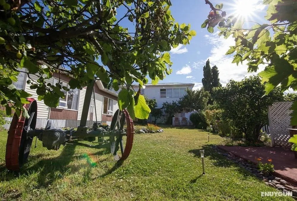 Hostal Alamo Patagonico - Öne Çıkan Resim
