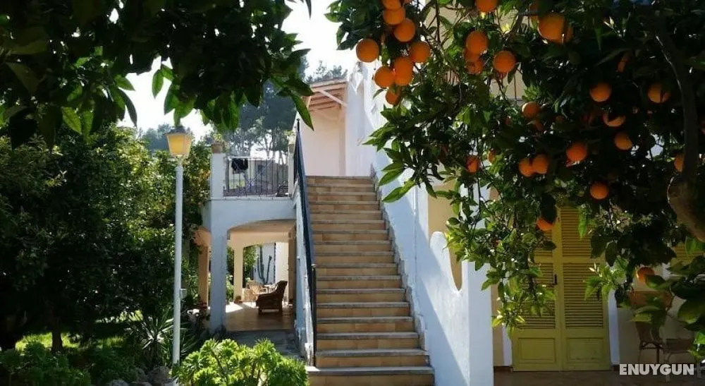 Hostal Amistad - Öne Çıkan Resim