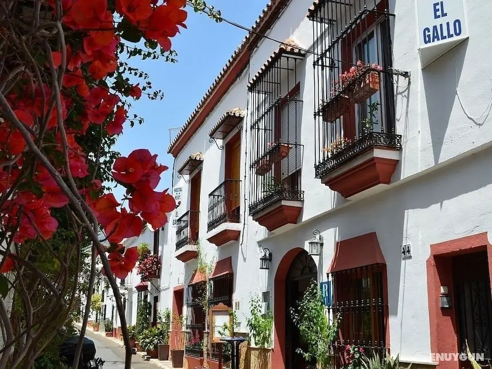 Hostal Apartamentos el Gallo - Öne Çıkan Resim