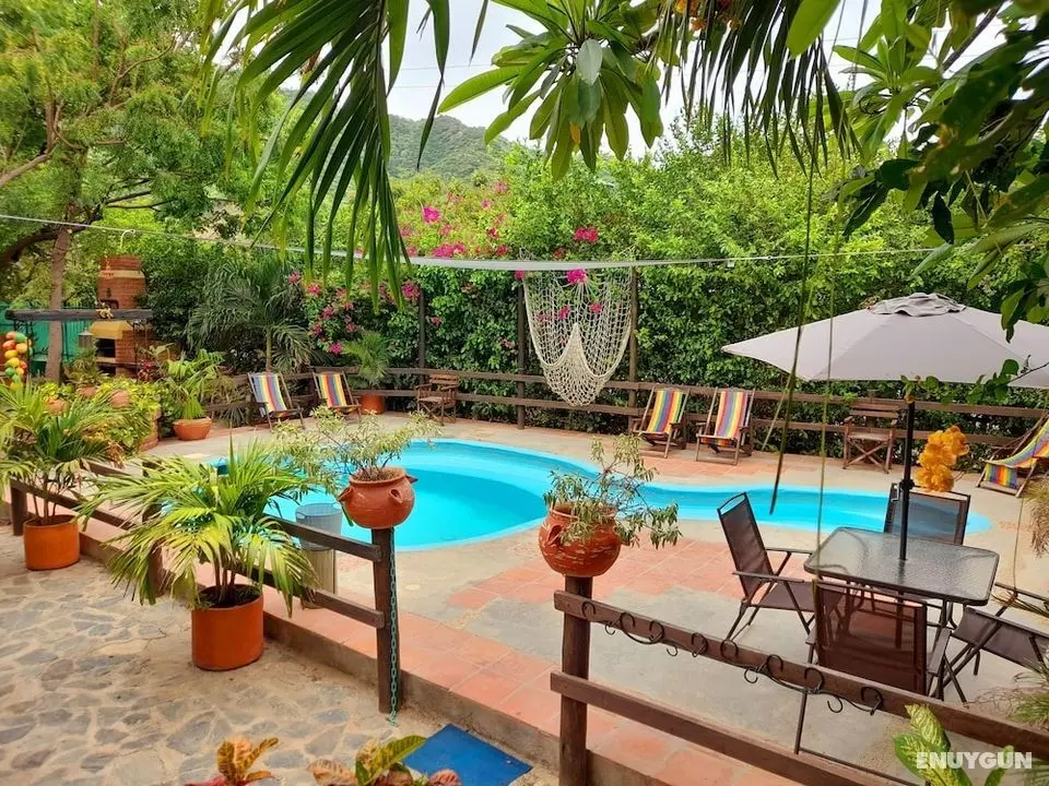 Hostal La Casa de Felipe - Dış Mekan
