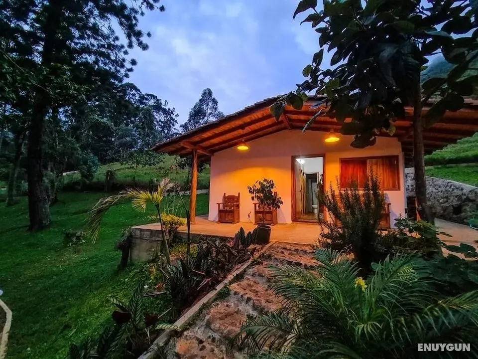 Hostal La Mercedes Country - Dış Mekan