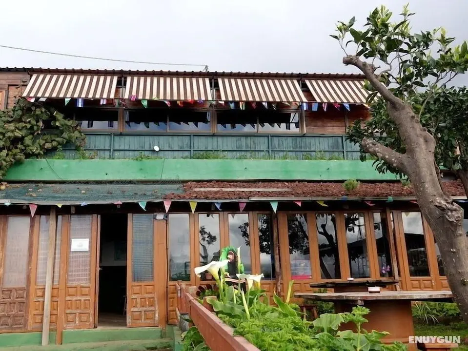 Hostal Mamio Verde - Hostel - Oda