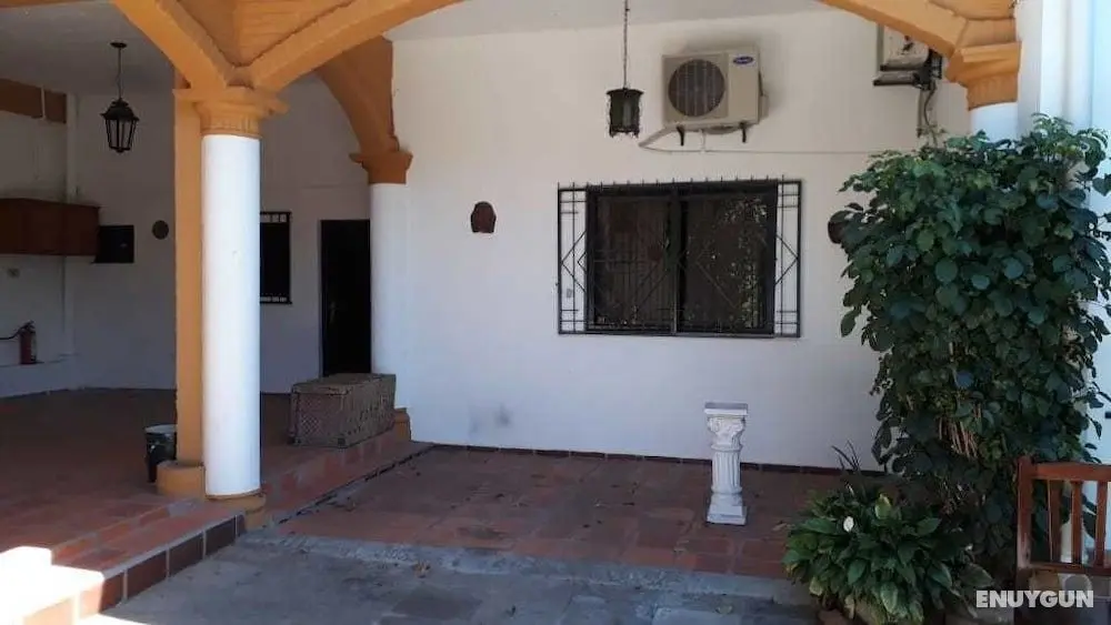 Hostal Residencial Leones de Castilla - Dış Mekan
