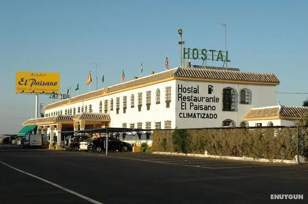 Hostal Restaurante Asador EL PAISANO - Öne Çıkan Resim