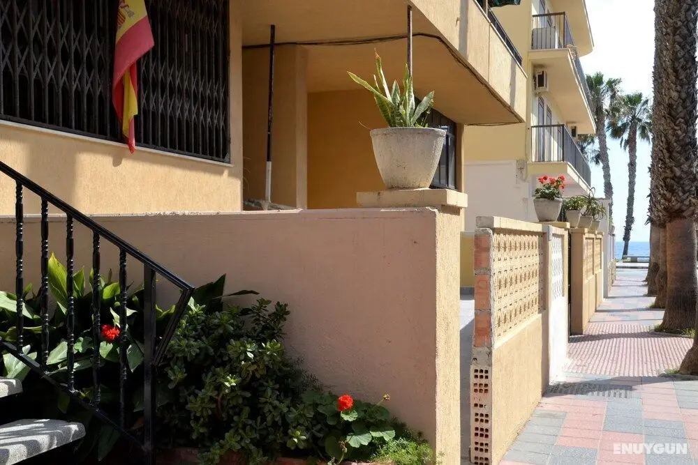 Hostal Tropical - Dış Mekan