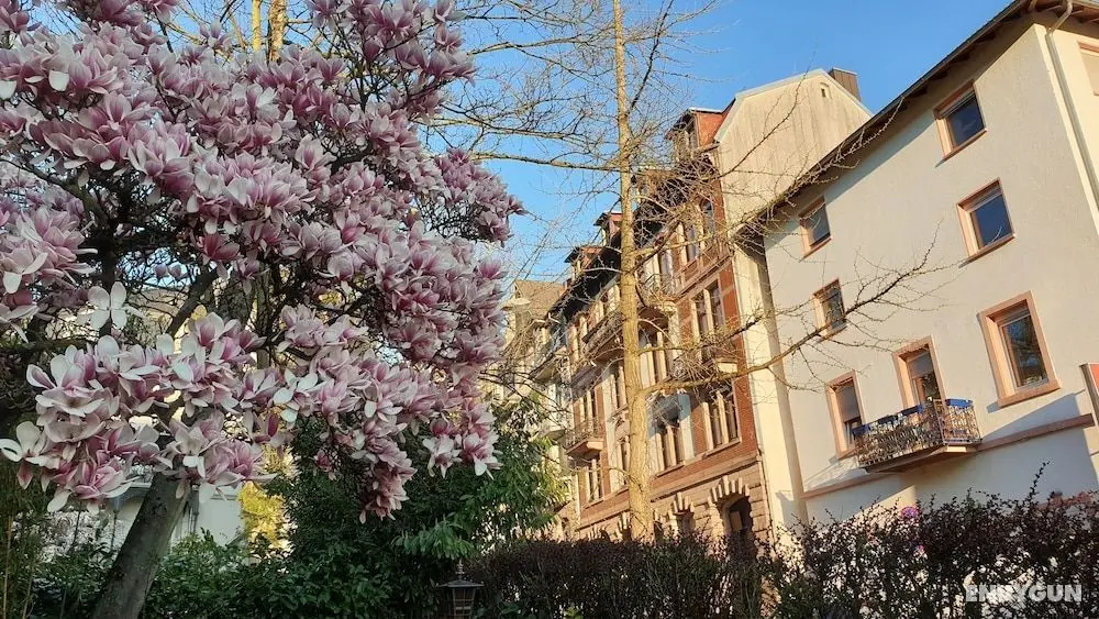 Hostel Caracalla - Dış Mekan