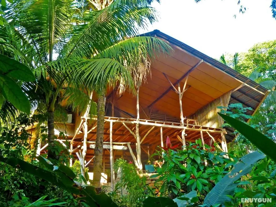 Hostel Cascada Verde - Öne Çıkan Resim