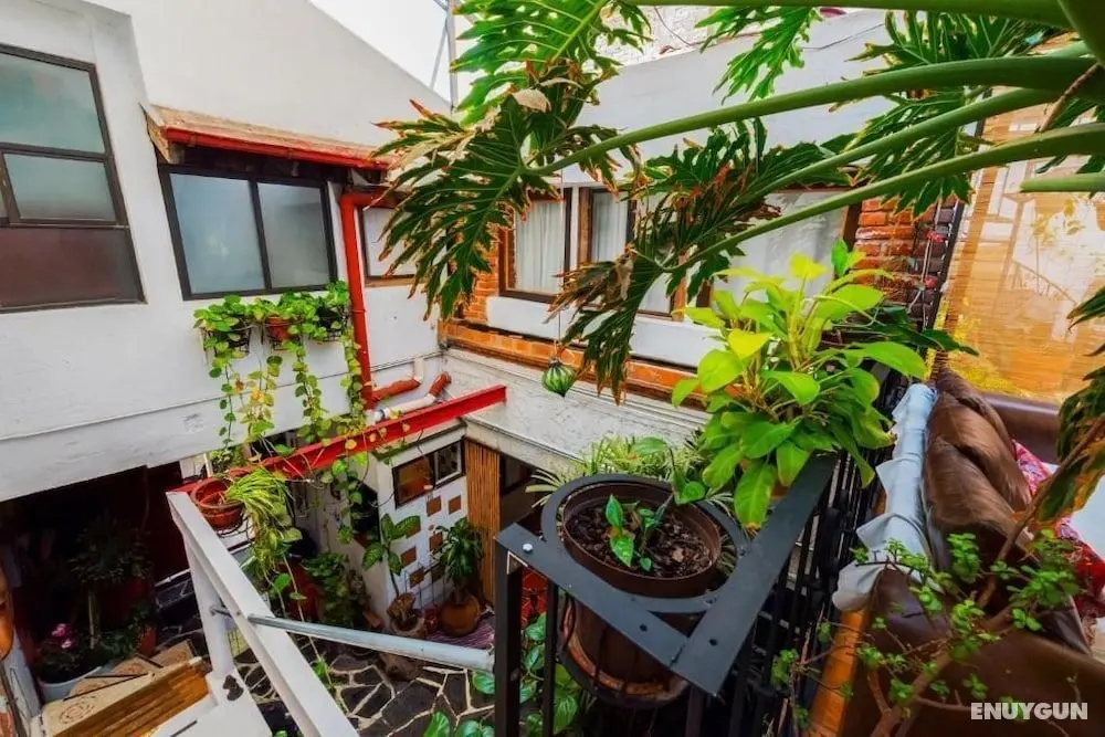 Hostel Mexico DF Airport - İç Mekan