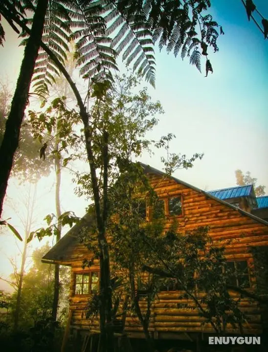 Hostel Paraiso Verde Coban - Öne Çıkan Resim