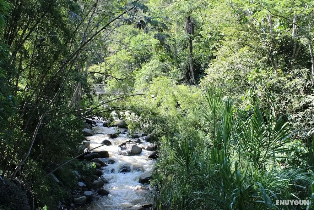 Hostería Río Escondido - Öne Çıkan Resim
