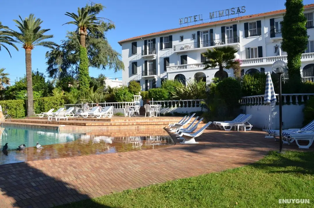 Hôtel des Mimosas - Genel