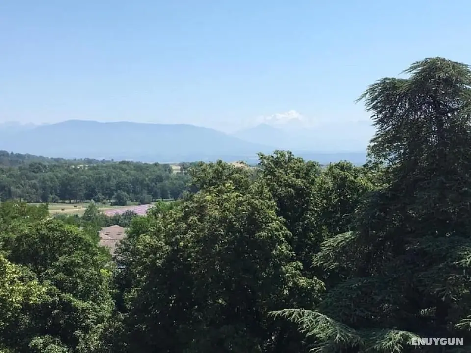 Hôtel Grand Parc - Dış Mekan