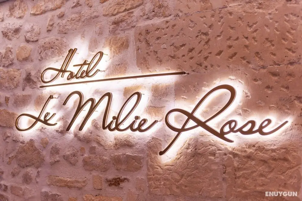 Hôtel Le Milie Rose - Lobi