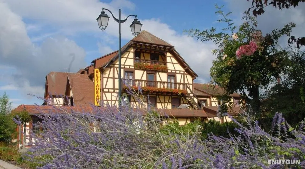 Hôtel Restaurant Au Parc des Cigognes - Dış Mekan