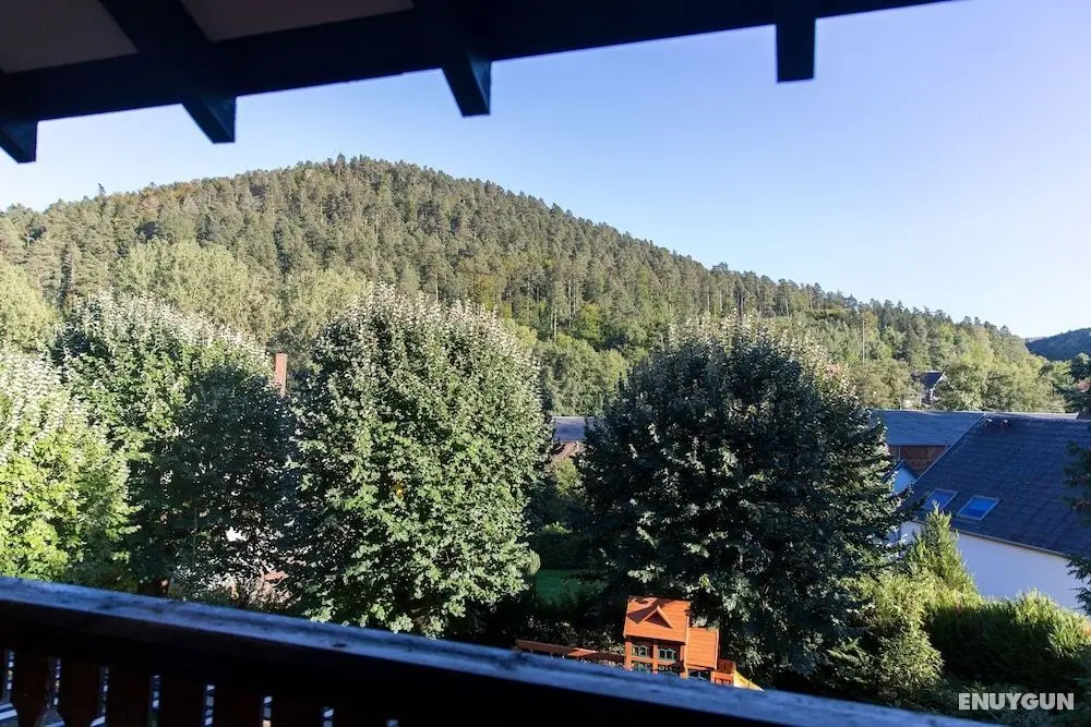 Hôtel Restaurant Le Freudeneck - Oda