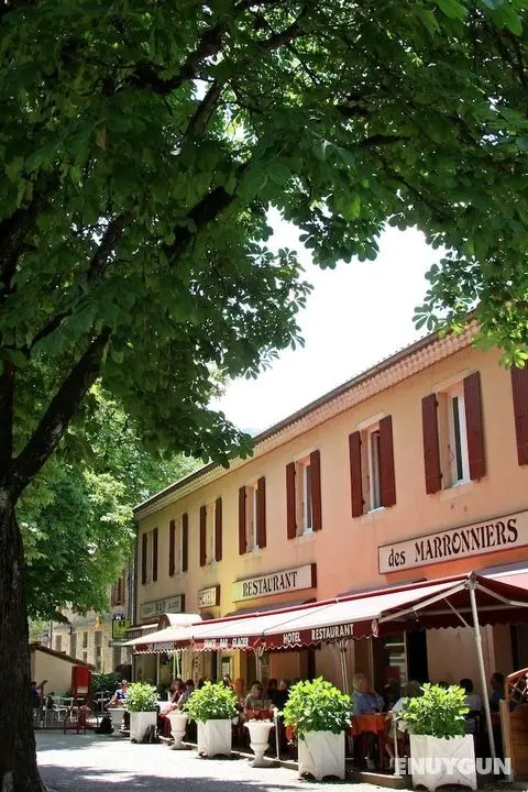 Hôtel - Restaurant les Marronniers - Öne Çıkan Resim