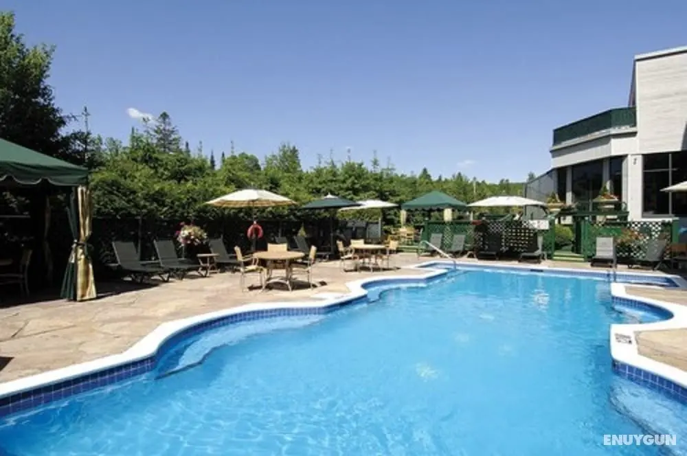 Hôtel Spa Excelsior - Havuz