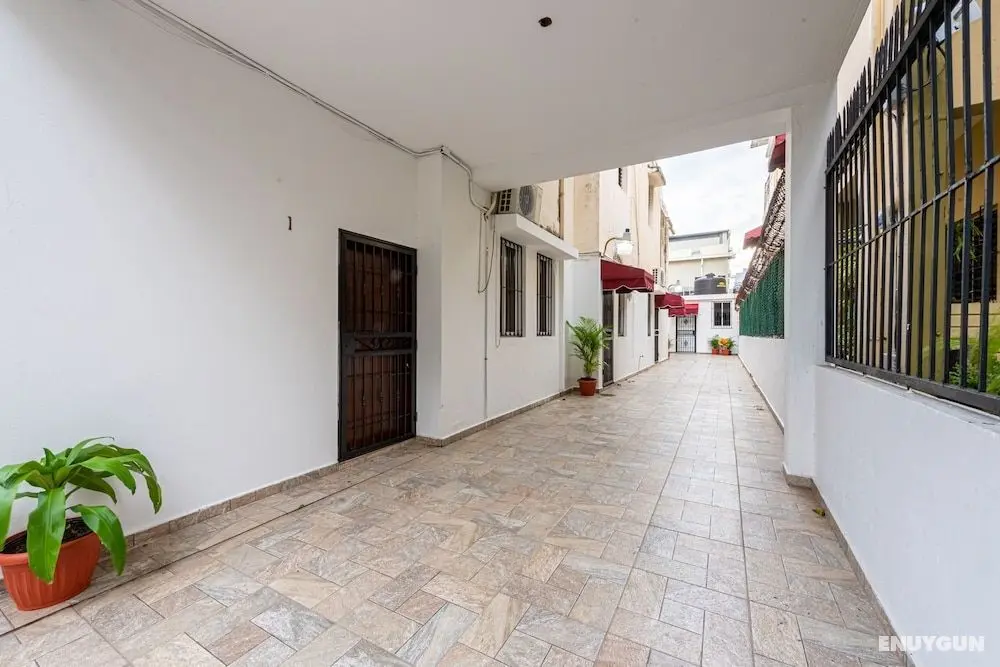 House Bamboo - Öne Çıkan Resim