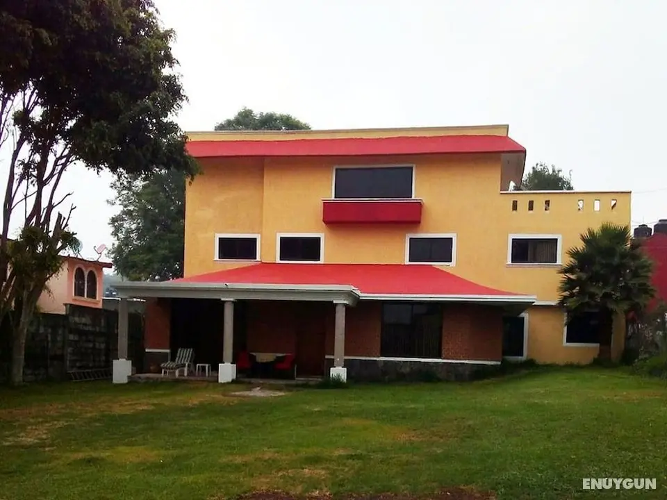 House of Ficus Banderilla,veracruz-mexico - Öne Çıkan Resim
