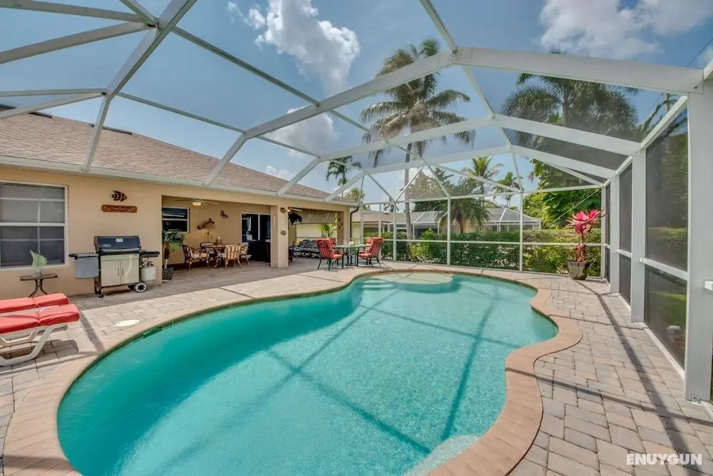 House Palm Tree by Vacationhit - Havuz