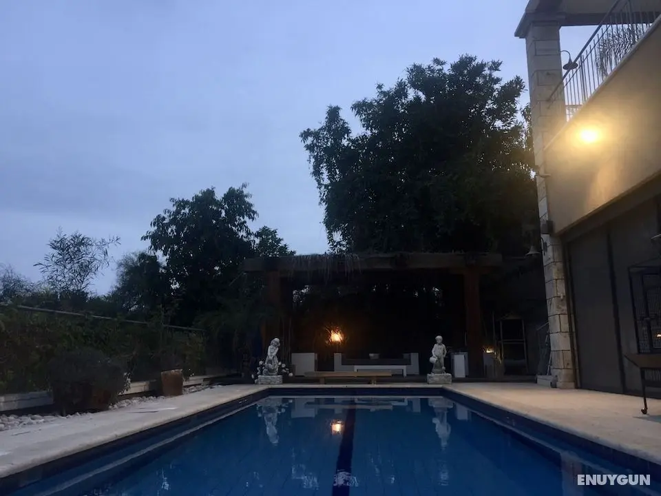 House Of The Rising Sun - Havuz