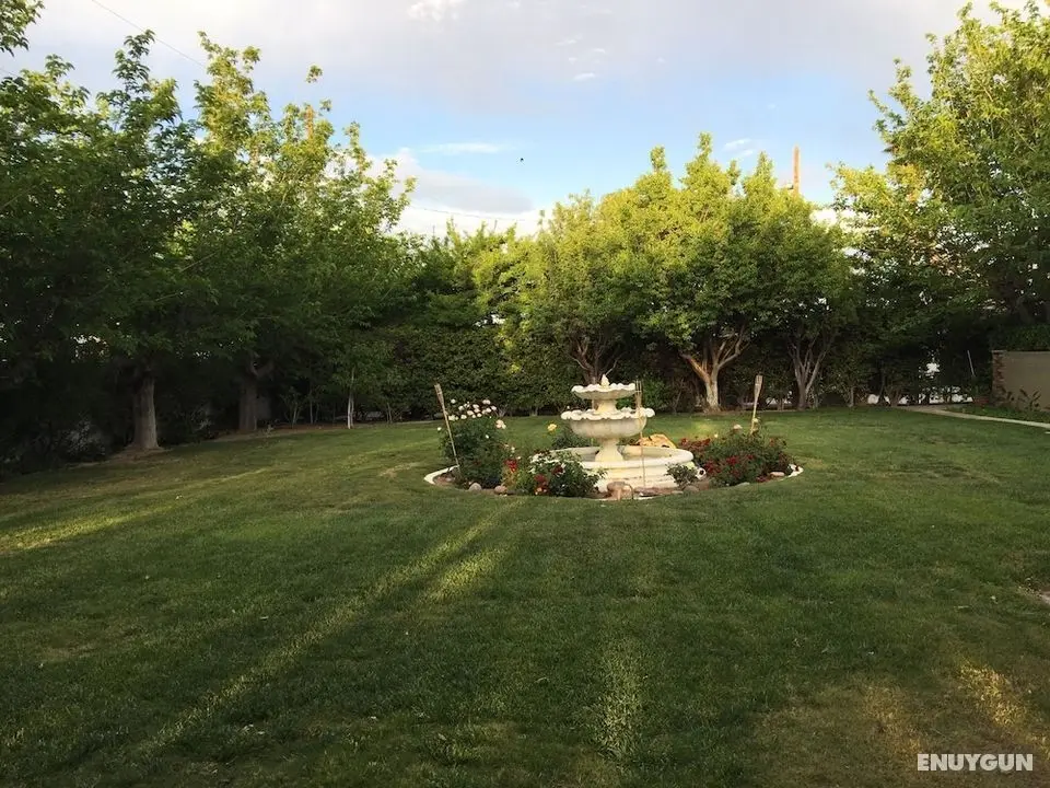 Huge Home with Private Park-Like grounds - Dış Mekan