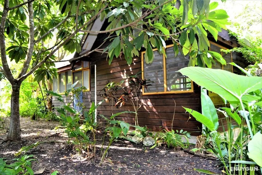 Hummingbird Rest Gold Standard Approved Equipped Cabana in Subtropical Garden - Dış Mekanlar
