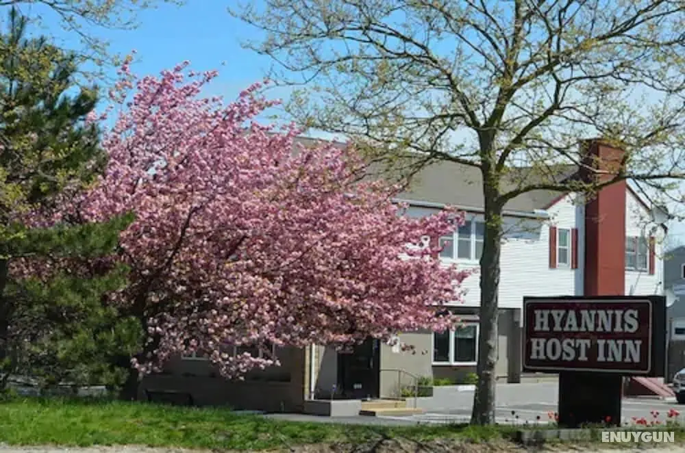 Hyannis Host Inn - Öne Çıkan Resim