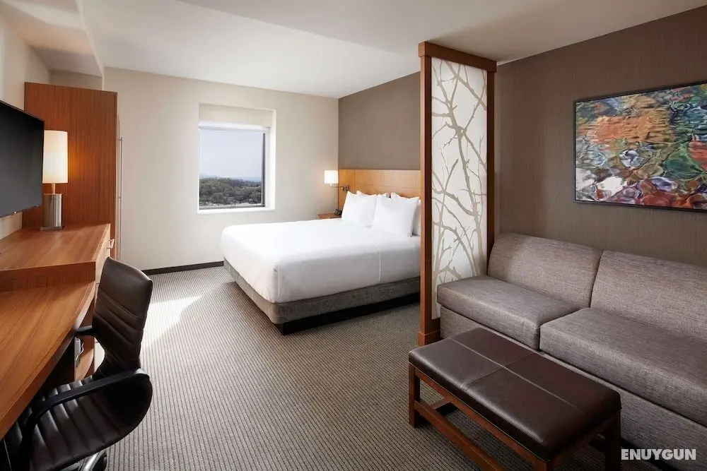 Hyatt Place Knoxville Downtown - Öne Çıkan Resim