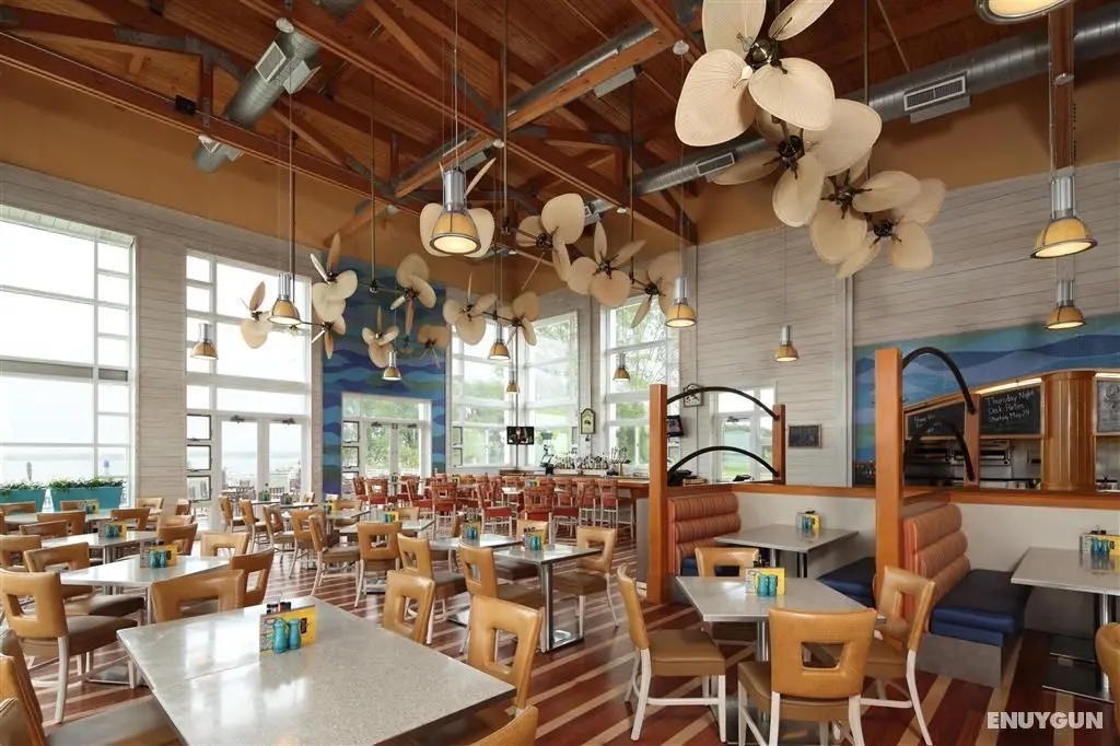 Hyatt Regency Chesapeake Bay - Genel