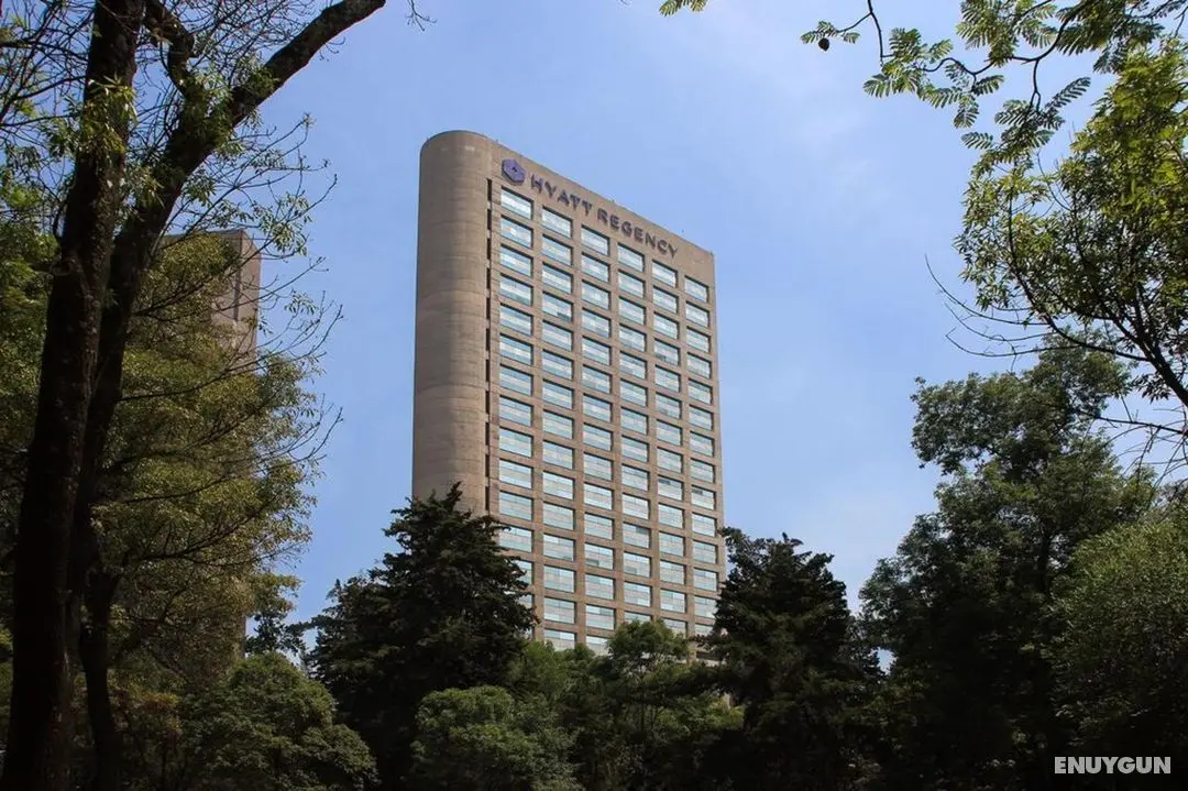 Hyatt Regency Mexico City - Genel