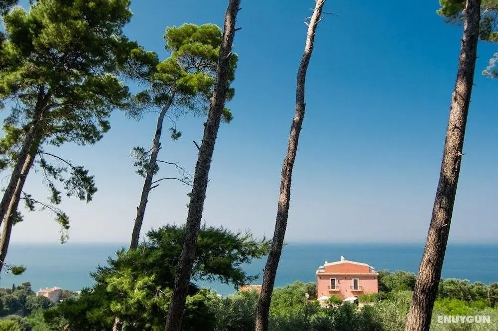 I Frangiventi B&B - Öne Çıkan Resim