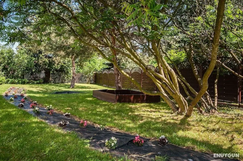 Villa i Restauracja Tymotka - Dış Mekan