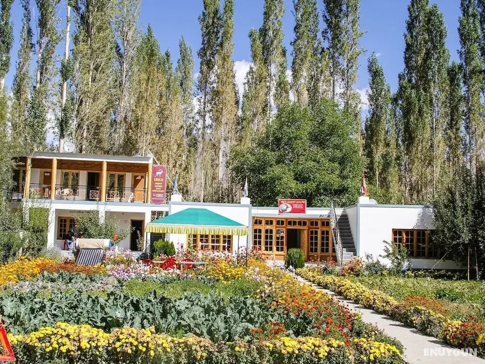Ibex Guest House - Öne Çıkan Resim