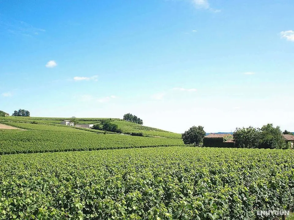ibis Bordeaux Saint Emilion - Dış Mekan