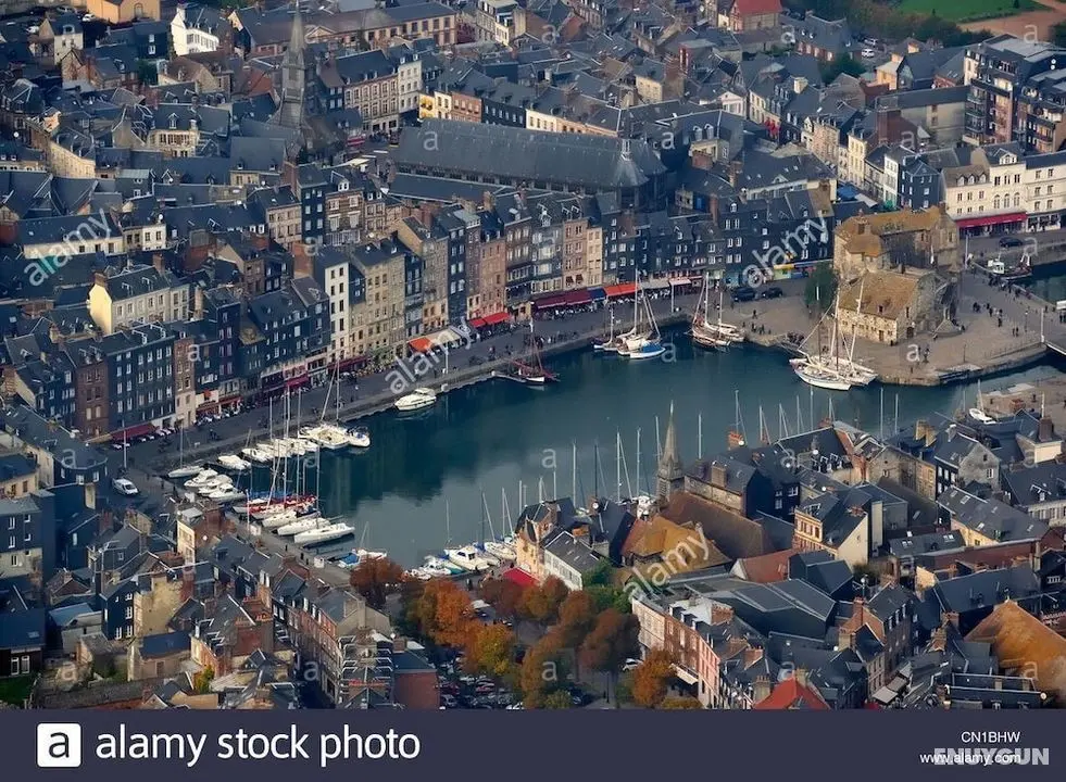 ibis budget Honfleur Centre Ville - İlgi Noktası