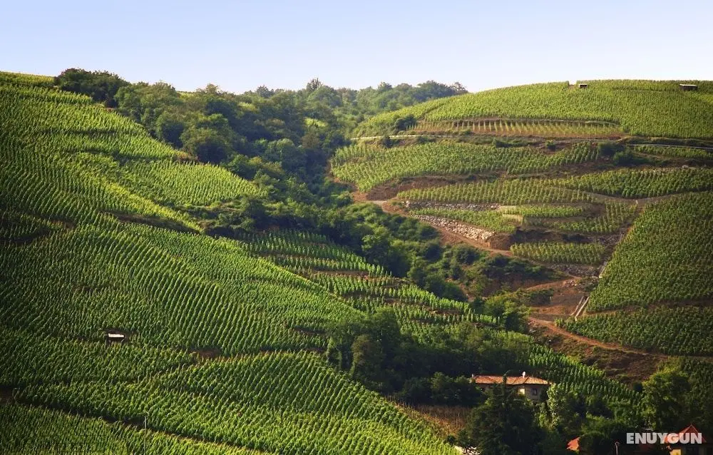 ibis budget Pouilly-en-Auxois - Dış Mekan