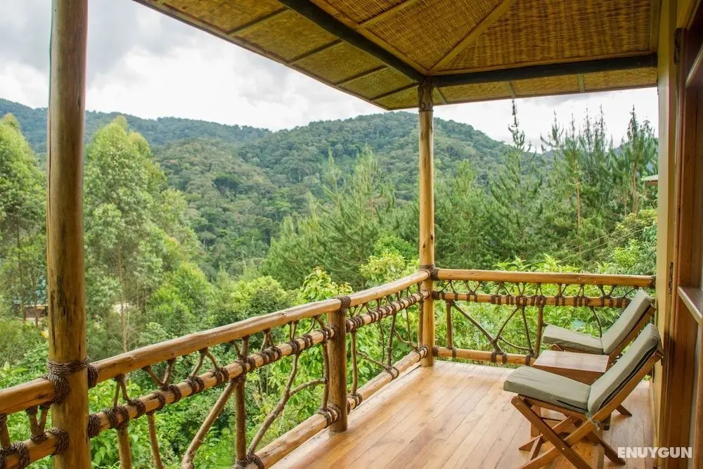 Ichumbi Gorilla Lodge - Öne Çıkan Resim
