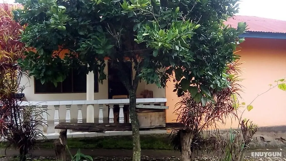 Ifulong cultural tourism homestay - Öne Çıkan Resim